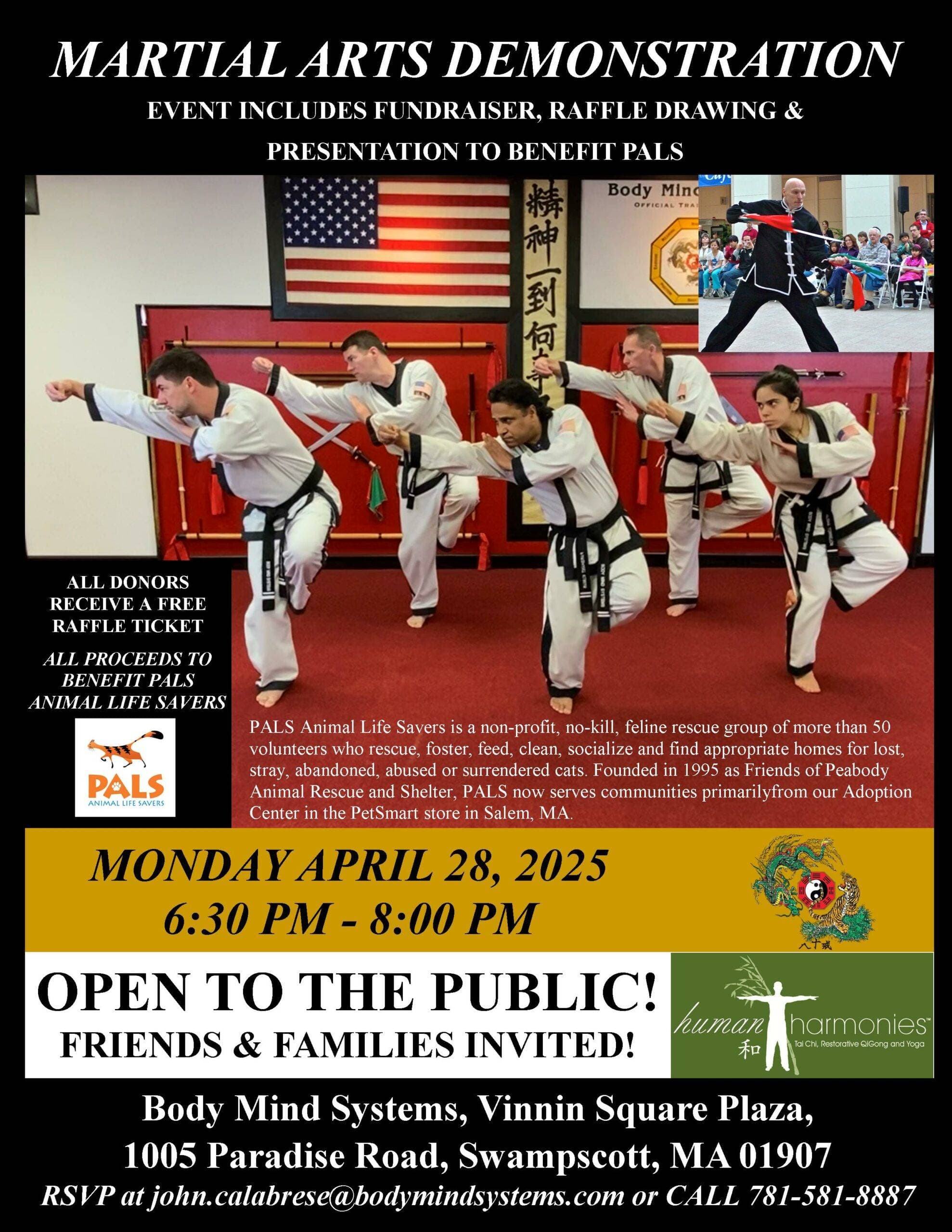 Martial Arts Demonstration
